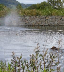 Jagd Gapa Hundewesen Brauchbarkeitsprüfung